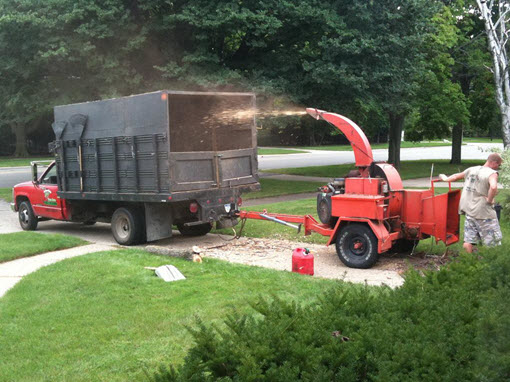 Tree Stump Grinding Charlotte NC