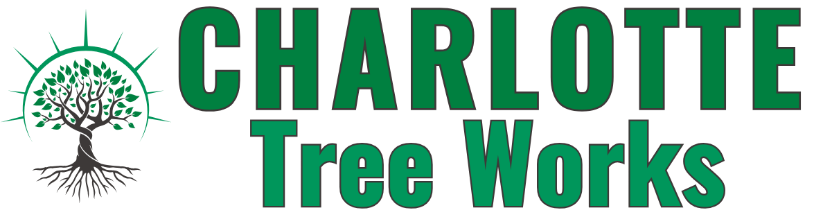 Tree Service Charlotte NC  - Call (980) 480-9872